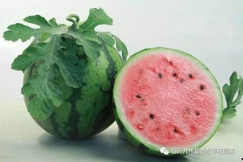 博雅吃瓜网红是谁啊图片,网络红人的崛起之路 第2张 博雅吃瓜网红是谁啊图片,网络红人的崛起之路 第2张