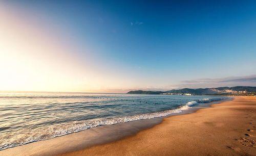 海南海边最新消息爆料,神秘海岛发现珍稀生物，旅游胜地再掀热潮